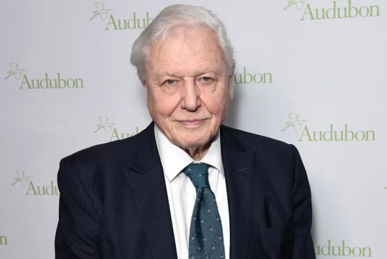 David Attenborough Fan Mail Address