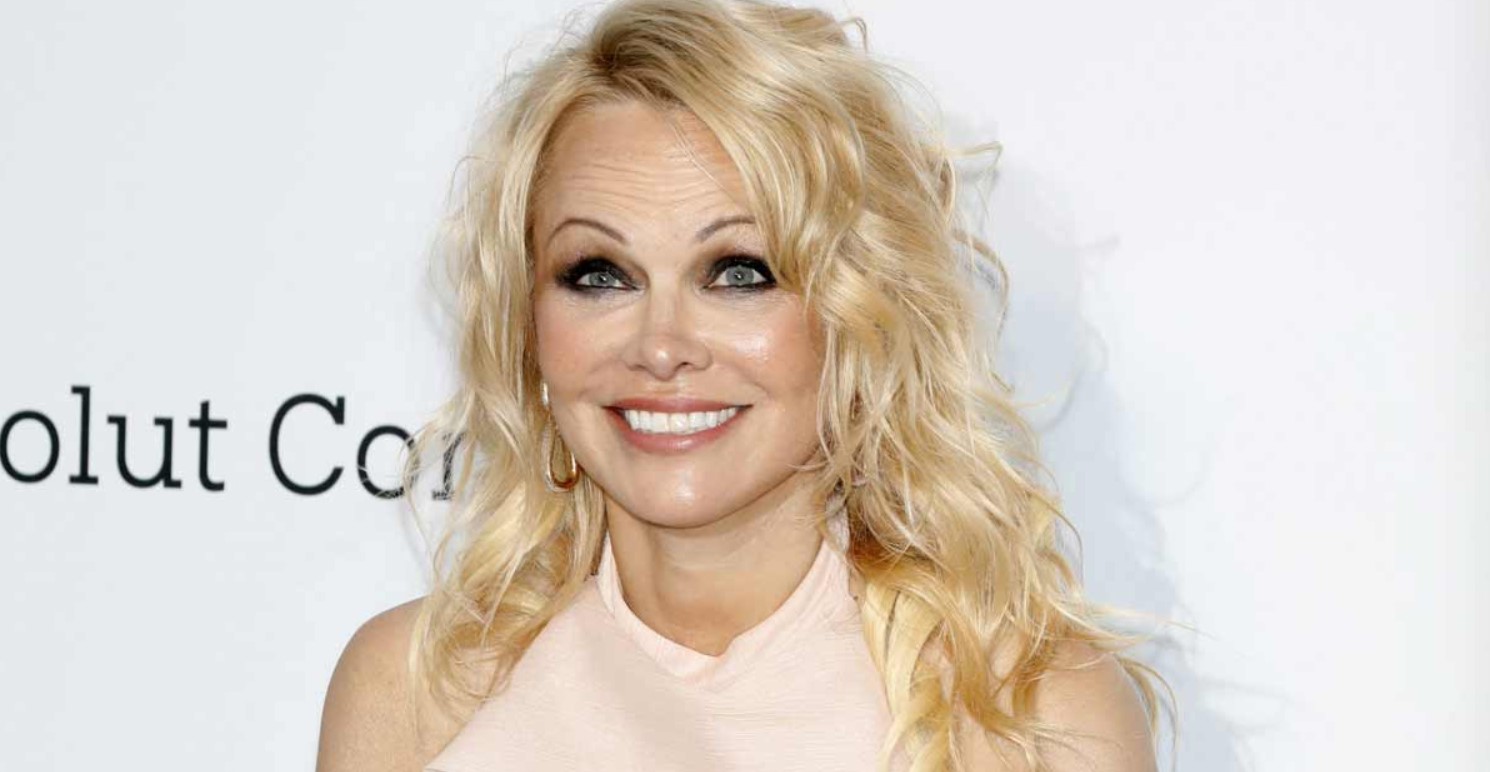 Pamela Anderson bio