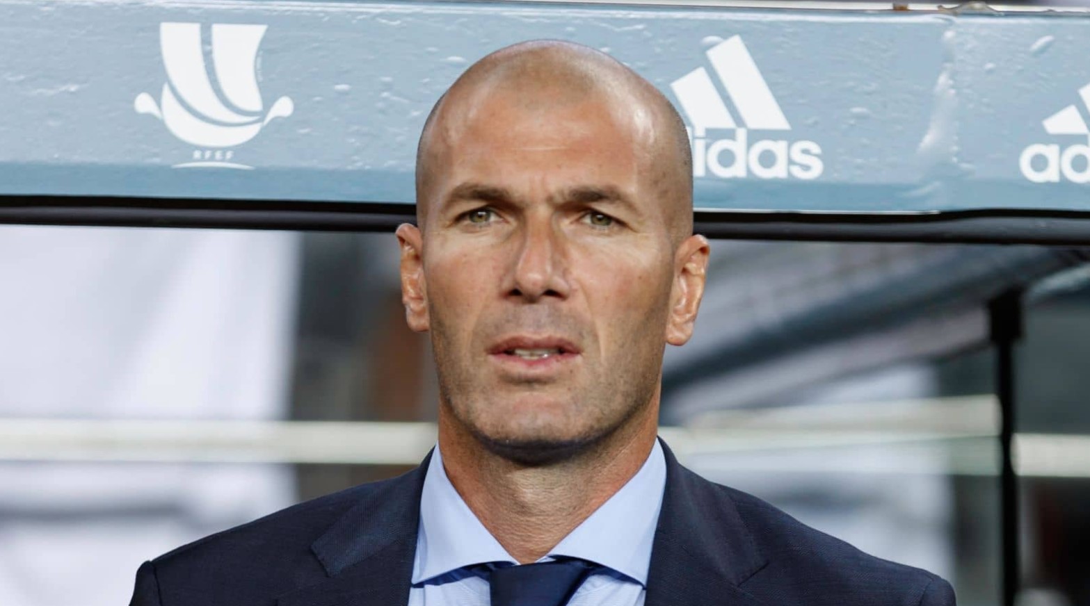 Zinedine Zidane wiki