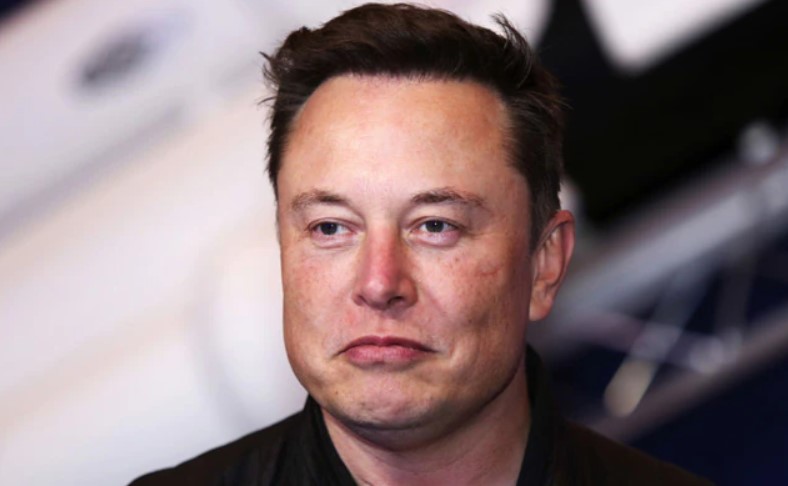 Elon Musk bio