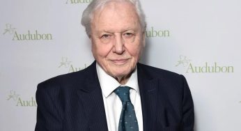 David Attenborough Fan Mail Address