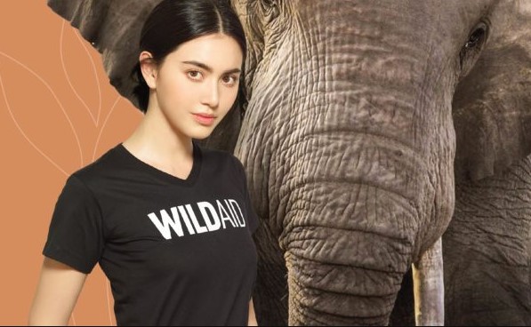 Davika Hoorne Fan Mail Address