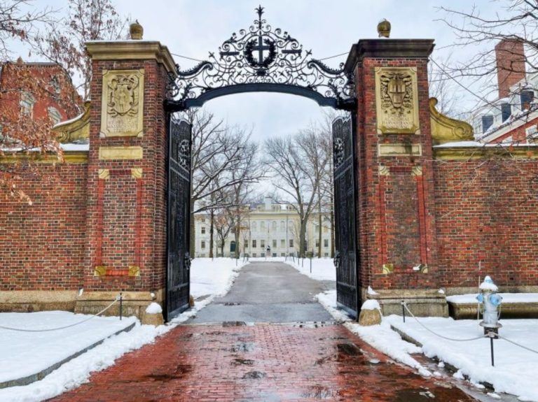 Alexandra Kaan Fan Mail Address