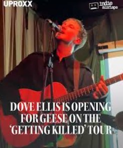 Dove Ellis Fan Mail Address